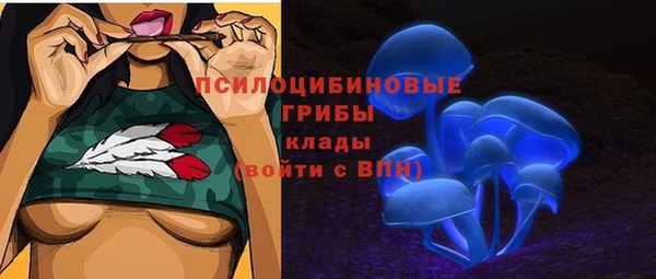 МДМА Бородино