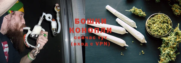 PSILOCYBIN Бронницы