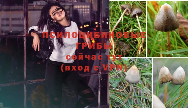 МДМА Бородино