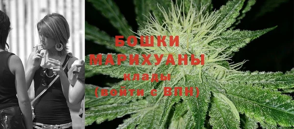 PSILOCYBIN Бронницы