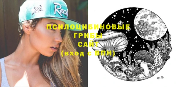 а пвп мука Бугульма