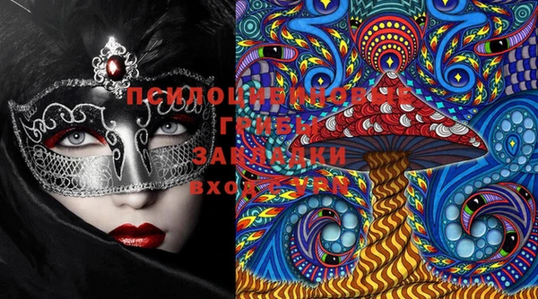 PSILOCYBIN Бронницы