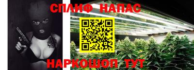 шишки Бийск