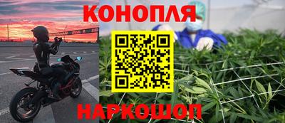 шишки Бийск