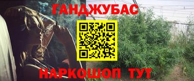 шишки Бийск