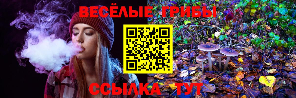Бугуруслан  Псилоцибиновые грибы ЛСД  Вход с VPN 